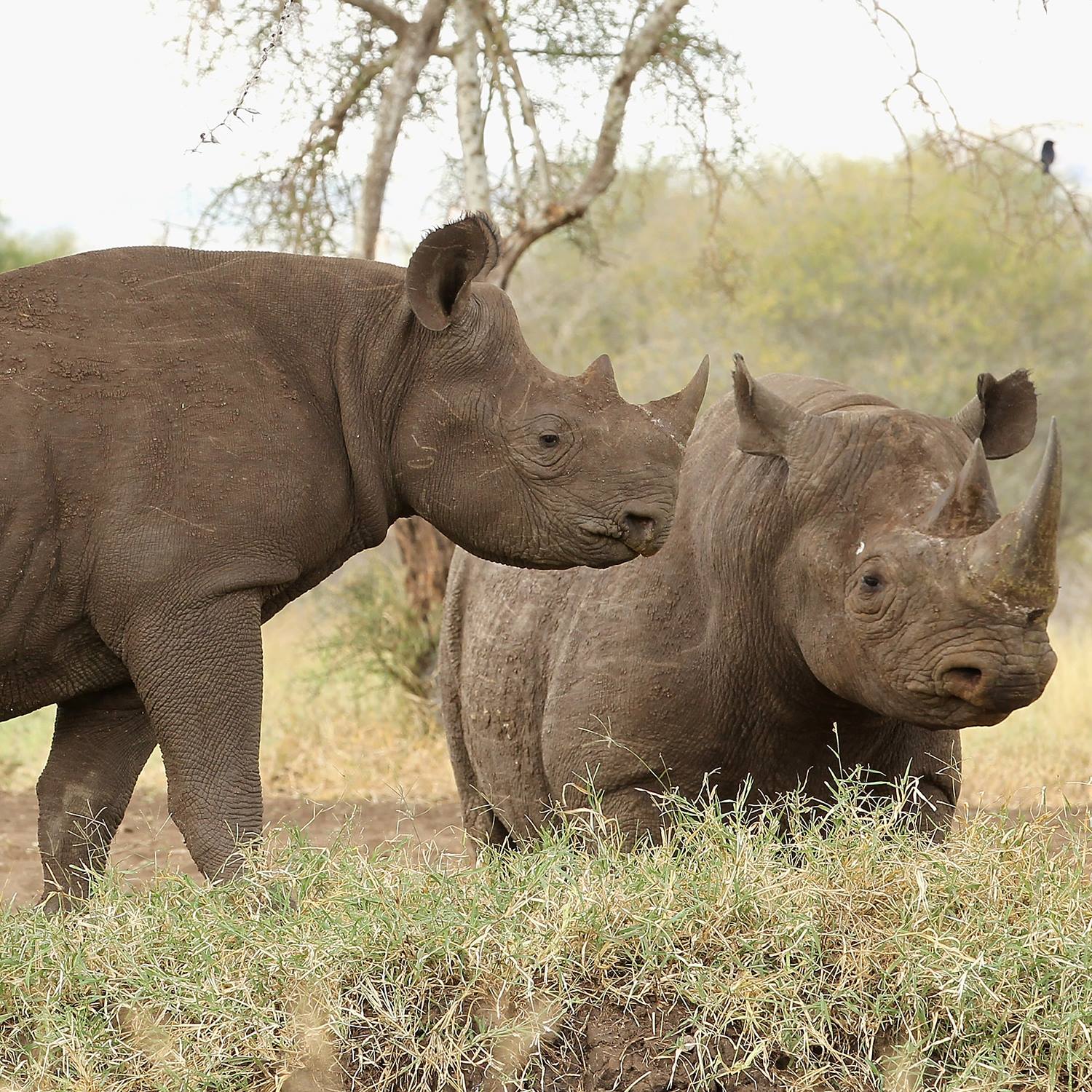 MKOMAZI NATIONAL PARK