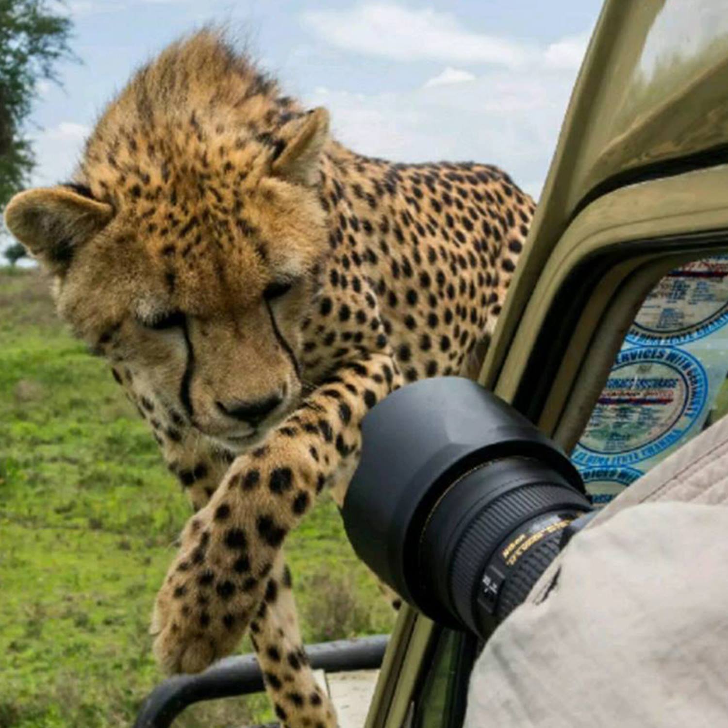 SERENGETI NATIONAL PARK