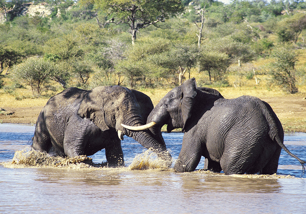 LAKE MANYARA NATIONAL PARK