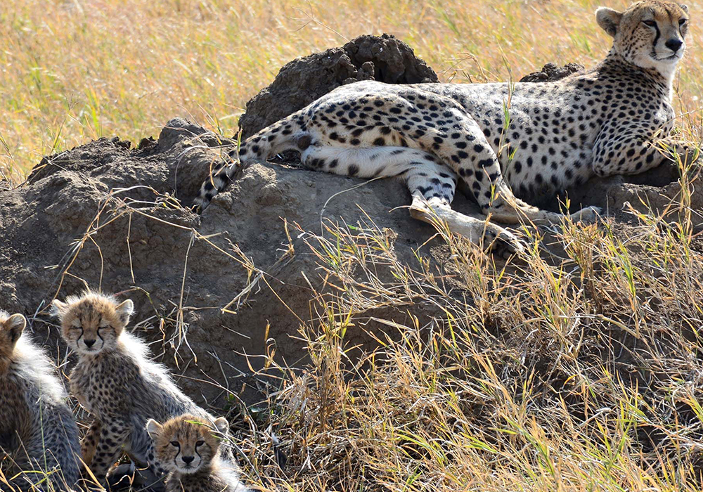 MKOMAZI NATIONAL PARK
