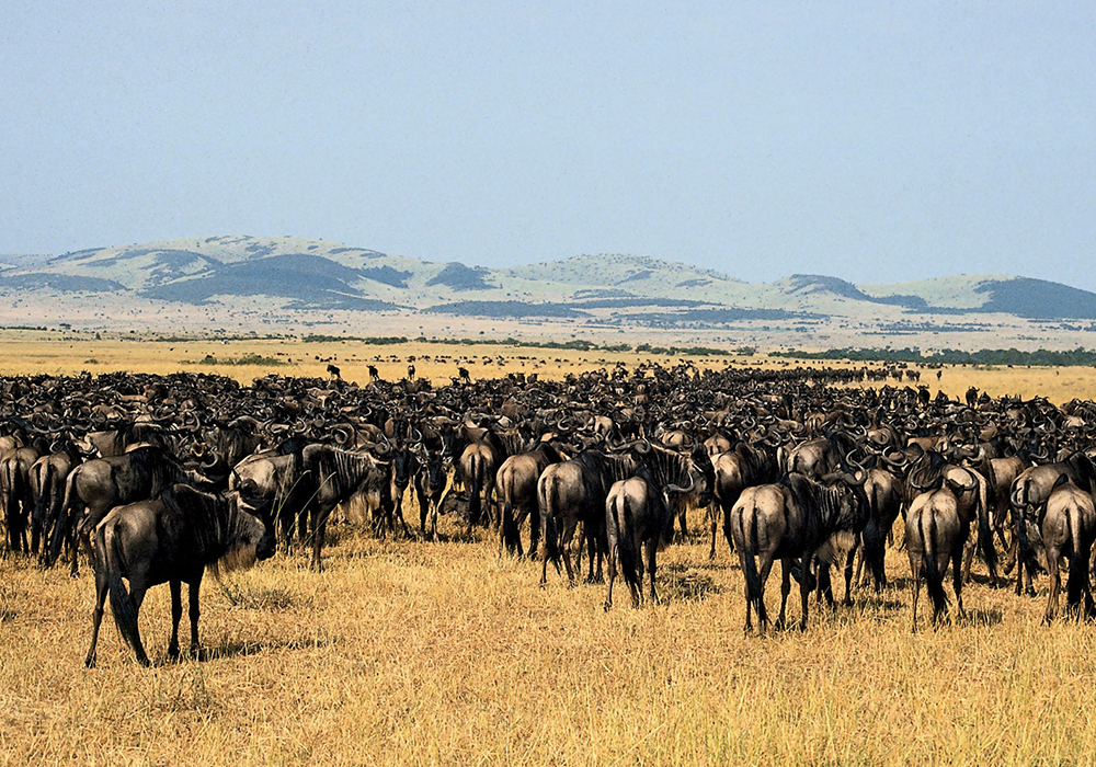 TARANGIRE NATIONAL PARK