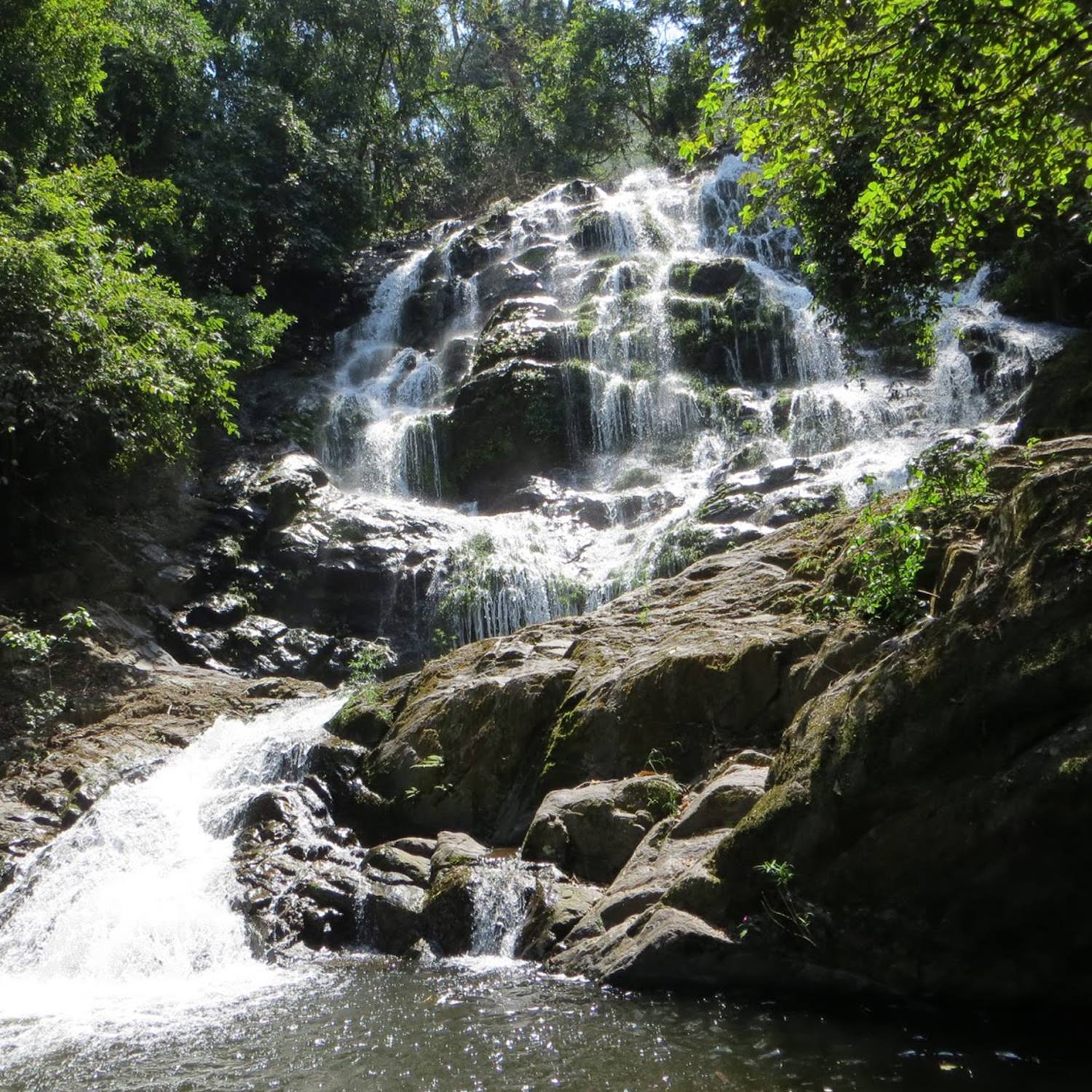 UDZUNGWA NATIONAL PARK