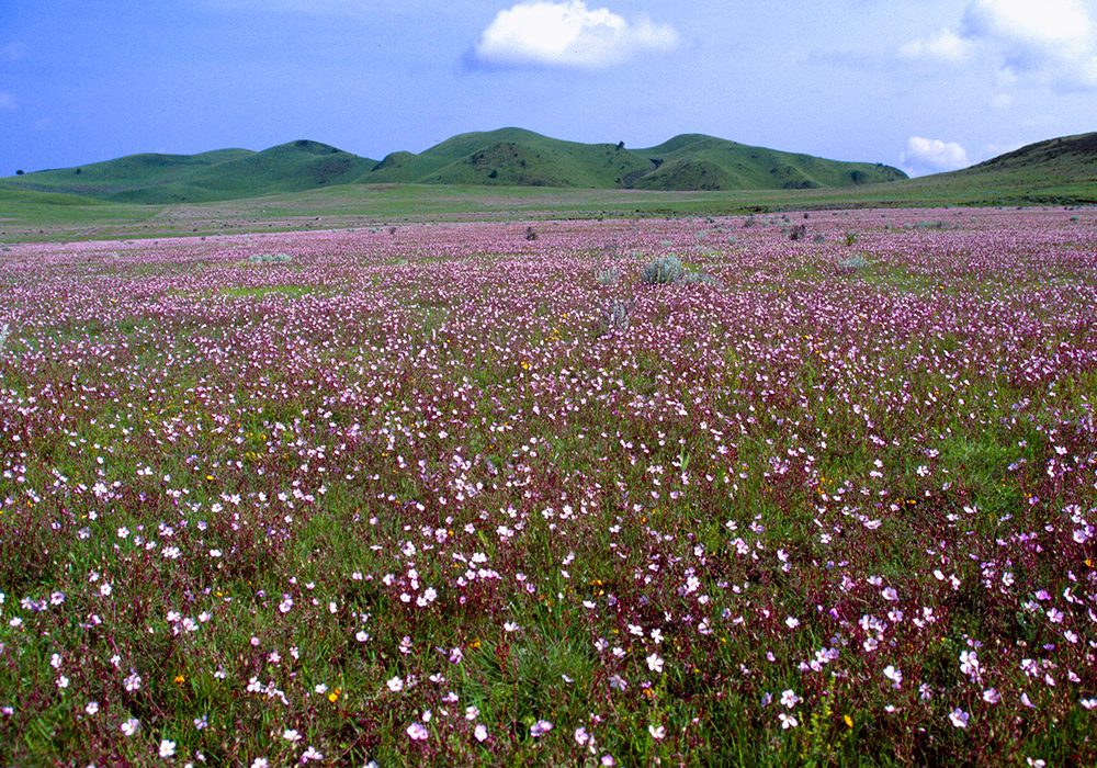 KITULO NATIONAL PARK