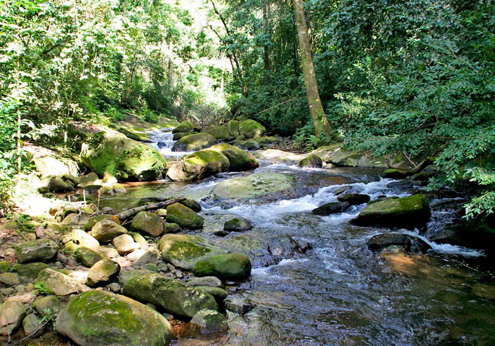 UDZUNGWA MOUNTAINS NATIONAL PARK