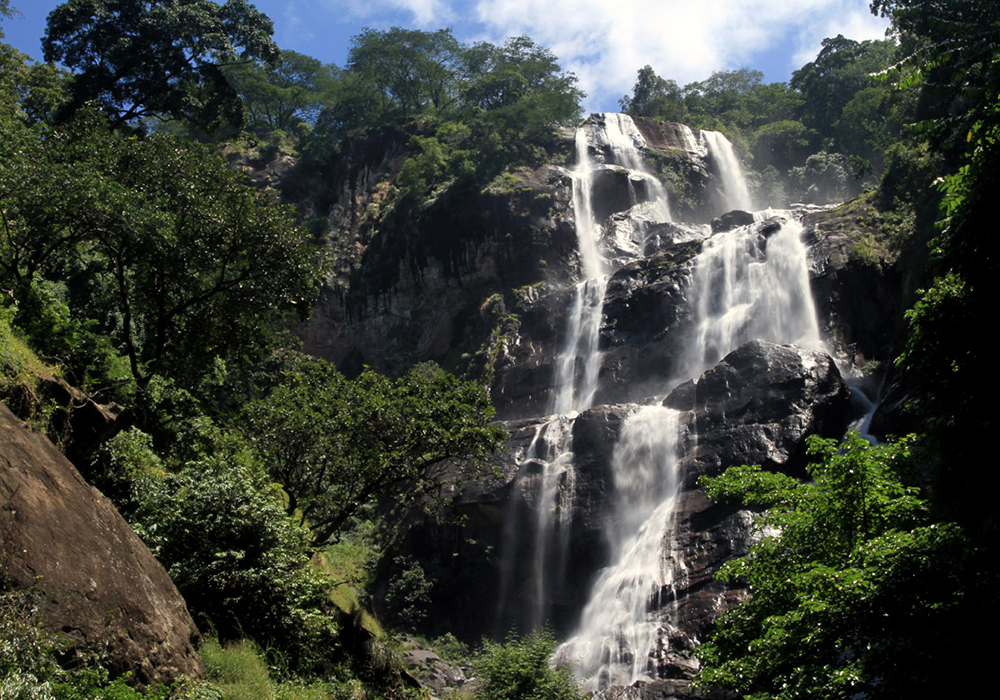 UDZUNGWA MOUNTAINS NATIONAL PARK