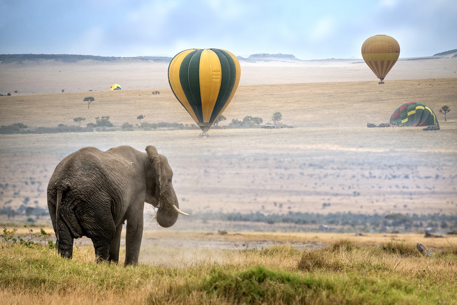 6 DAYS ADVENTURE SAFARIS