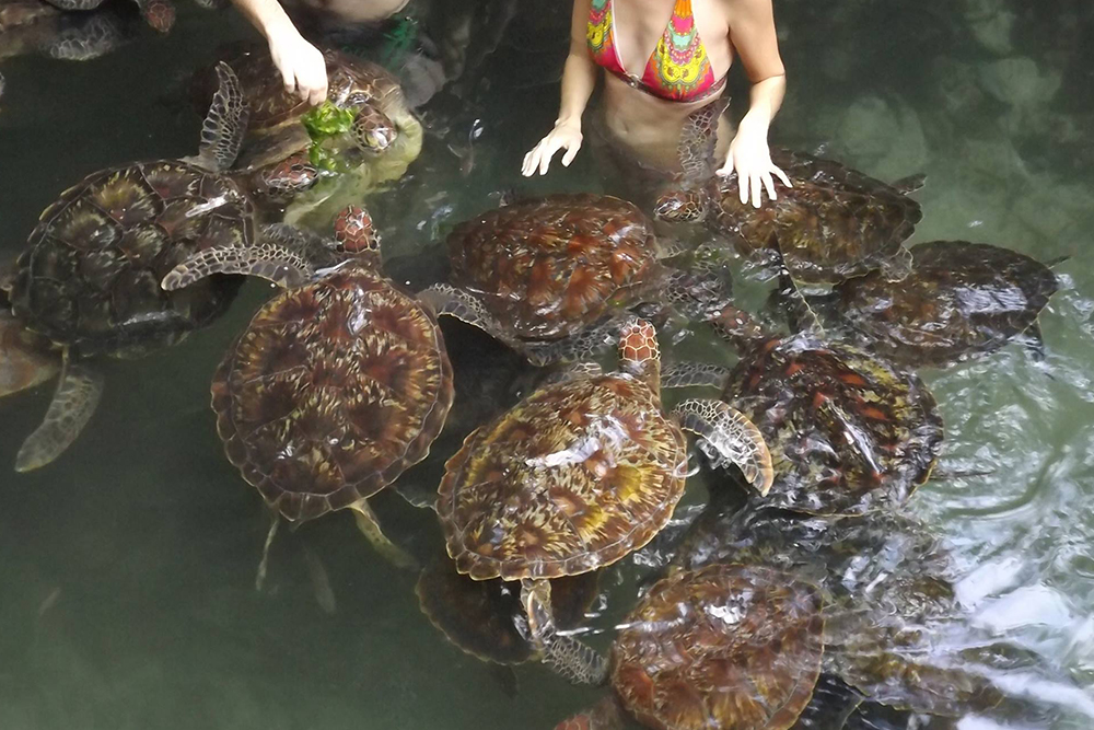 Nungwi Cultural Village Tour in Zanzibar