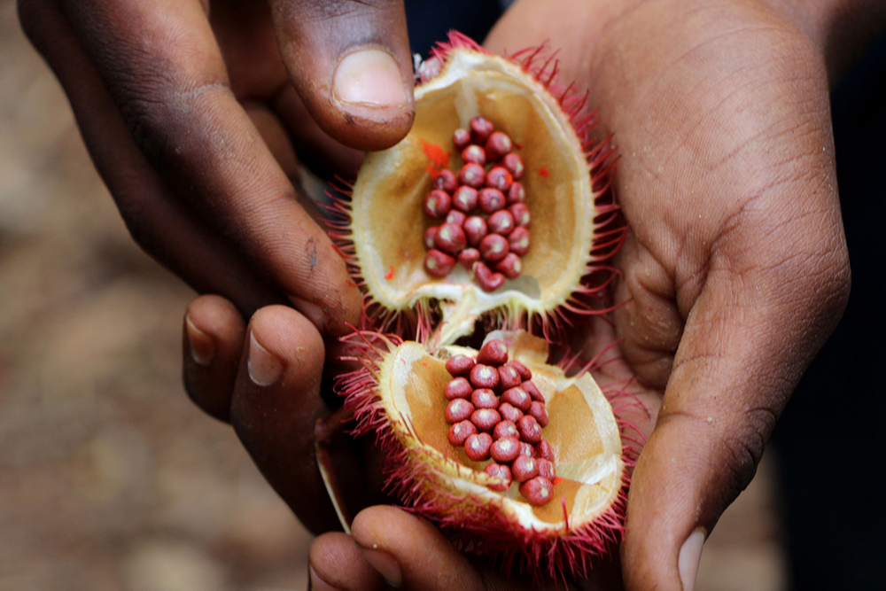 Zanzibar Spice Tour