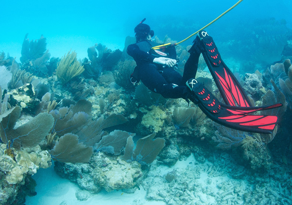 THIRD LUNG DIVING IN ZANZIBAR